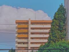 그만큼 세상이 온통 너였고 네가 세상이었어