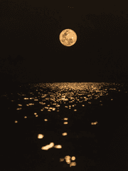 [괴도들au] 우리는 평범하다 (아마도)