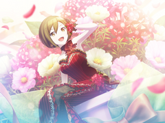 MEIKO 기념일 대사