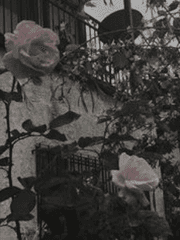 휘날리는 저 마법 아래