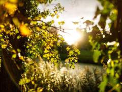 그냥 같이 있고 싶었어요.