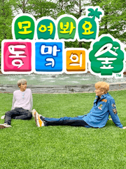 모여봐요, 동맠의 숲!