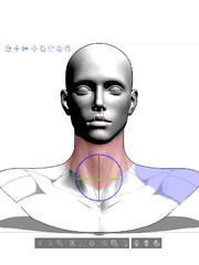 Manual for the 3D modeling