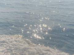 #신소_히토시 천사님을 모십니다 ♡̈