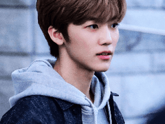 바다의 겨울(해석)