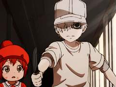 [일하는 세포/U1146XAE3803] 적아구와 골수구