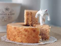 오설록 제주 순수녹차