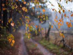 [이곤조영] Winter Night. 7