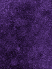 𝚂𝚎𝚘 𝙳𝚊𝚖𝚢𝚎𝚘𝚗𝚐