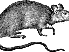 떨어지는것을 조심하렴 아이야.