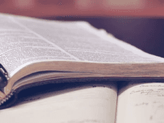 단테 E. 엘레노아 귀하