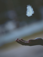 마법소년소녀 AU