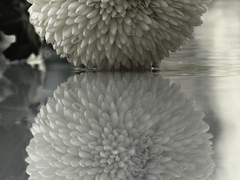 그녀는 살고싶어졌는가?