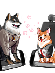 특촬/로컬히어로