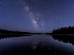 예성고 입학신청서