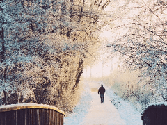 다만 내가 잊지 않으면