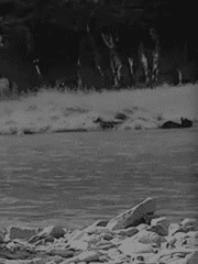 사랑 하나에 붙은 수 마디의 주석은, 결국 사랑이라고