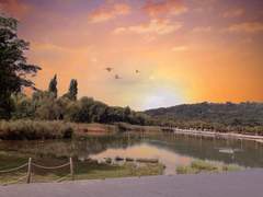 1주년 입니다!(완료)