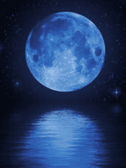 [국뷔] 태극과 태극과 태극