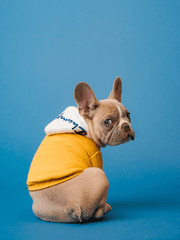 내가 그냥 잡소리 쓰고 싶어서 만든 시리즈