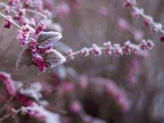 떠나간 겨울 뒤,