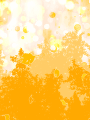 프레눔력 392년 XX월 XX일