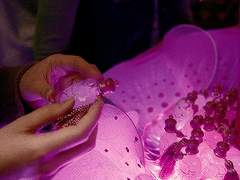 하이큐 드림/상황문답-사랑 과다 복용1