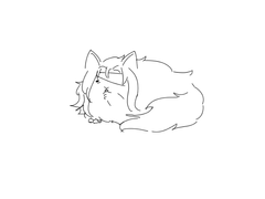 포타를 안썼더니 고양이가 너무 많아 1