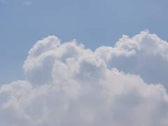 그놈의 공주 소리 좀 그만하면 안 돼?