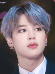 고양이 인턴과 강 대리