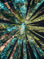 트위터 조금 긴 썰 모음