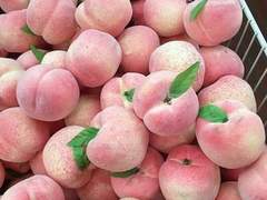 그 아이가 너무 좋았다.