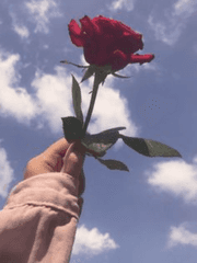 전독시x내스급 크오 별을 떨어트리는 세 가지 방법