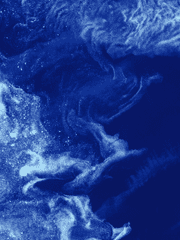 세포신곡 / Cell of Empireo