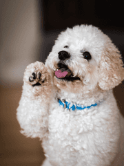 오늘은 어떤 메모?