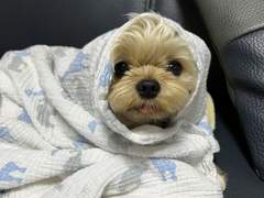 11월 11일 깨비의 하루