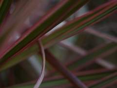 그대 나를 원망하는가 中(중)