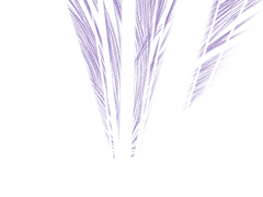 [파판14/하데아노/약 유혈주의] 경애