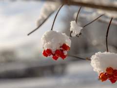 소설/마지막 선물/제6회