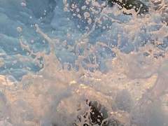 강재현 19세 남자(XY)