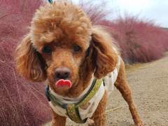 오늘점심메뉴는오늘점심메뉴는오늘점심메뉴는오늘점심메뉴는오늘점심메뉴는오늘점심메뉴는오늘점심메뉴는오늘점심메뉴는오늘점심메뉴는오늘점심메뉴는오늘점심메뉴는오늘점심메뉴는오늘점심메뉴는오늘점심메뉴는오늘