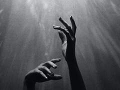 [세포신곡] 03. ■과 시라기쿠