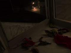 가장 황홀한 빛깔로