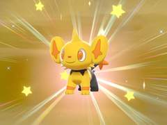 [소드실드] 이로치