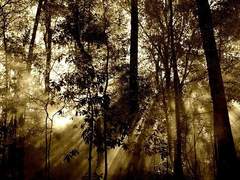 당신은 저를 어른들의 그림자에 덮어 단정지으시는군요