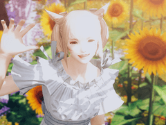 지쉐이드 선샤인 필터