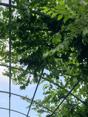 더웠던 여름의 추억