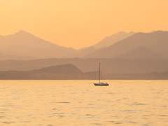 보가트와 실러 버브