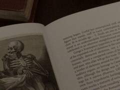 그 뱀은 속죄를 하는가?