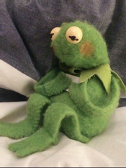 앞집에 엔시티가 산다면?